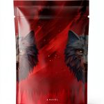 Minotaur Books Kindle Mystery Novel Chief Inspector Gamache-0