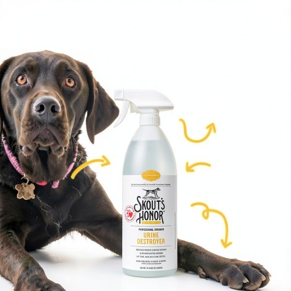 Skout's Honor Dog Urine Destroyer 128 oz Carpet Cleaner Plant-Powered-2