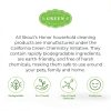 Dog Stain Odor Remover Skout's Honor Plant Cleaner-5