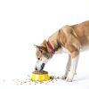 Dog Stain Odor Remover Skout's Honor Plant Cleaner-8