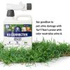 Dog Urine Neutralizer for Lawn Turf Titan K9 Correcter-2